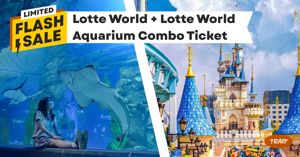 lotte world + lotte world aquarium combo sale
